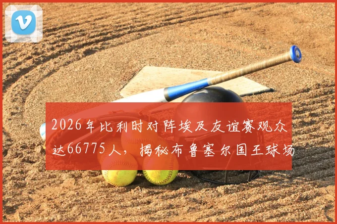 2026年比利时对阵埃及友谊赛观众达66775人,揭秘布鲁塞尔国王球场近97%超高上座率数据详情与原因分析