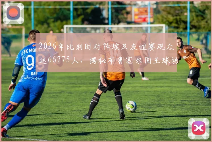 2026年比利时对阵埃及友谊赛观众达66775人，揭秘布鲁塞尔国王球场近97%超高上座率数据详情与原因分析